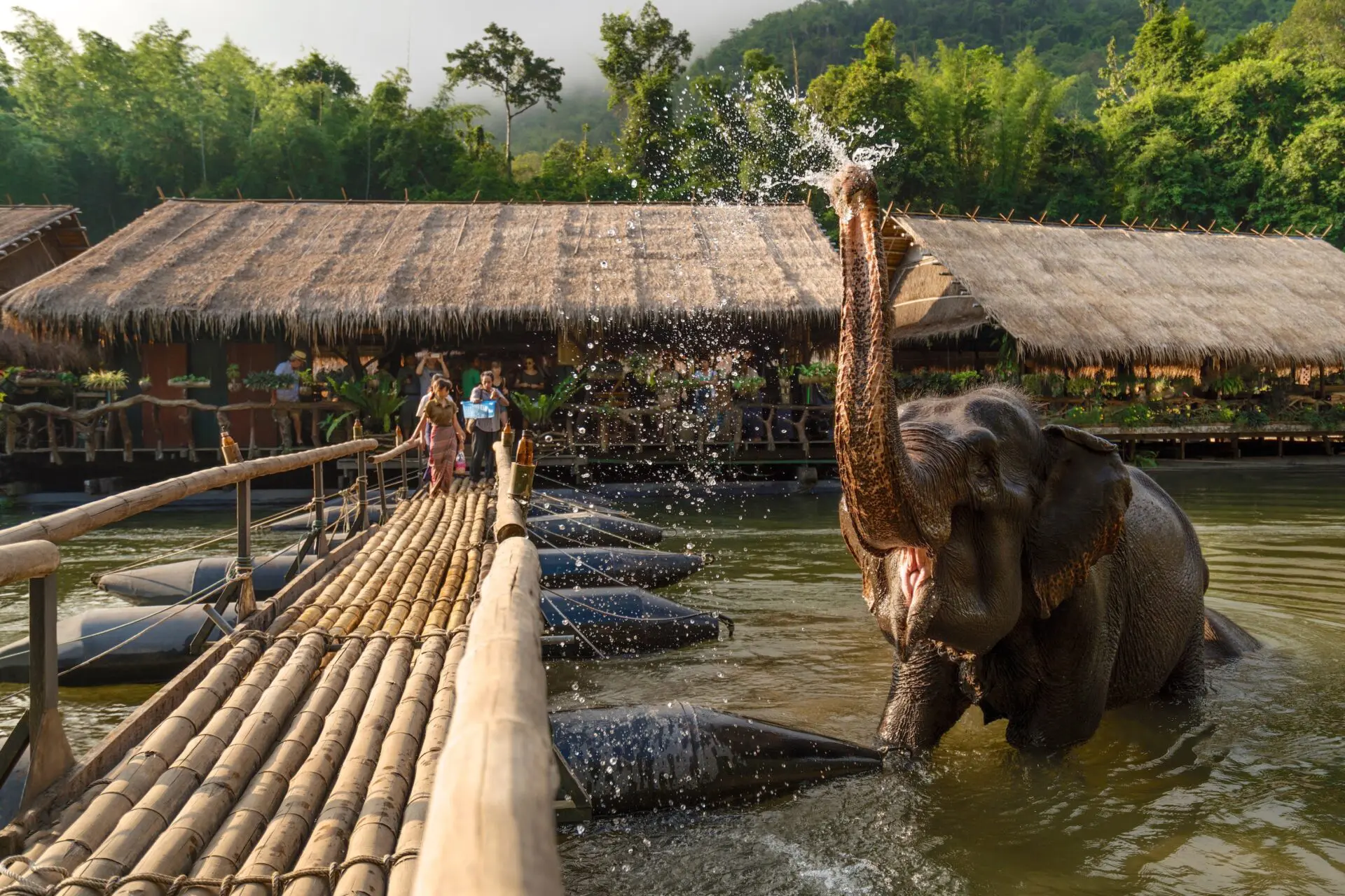 river kwai kanchanaburi elephant resort jungle rafts