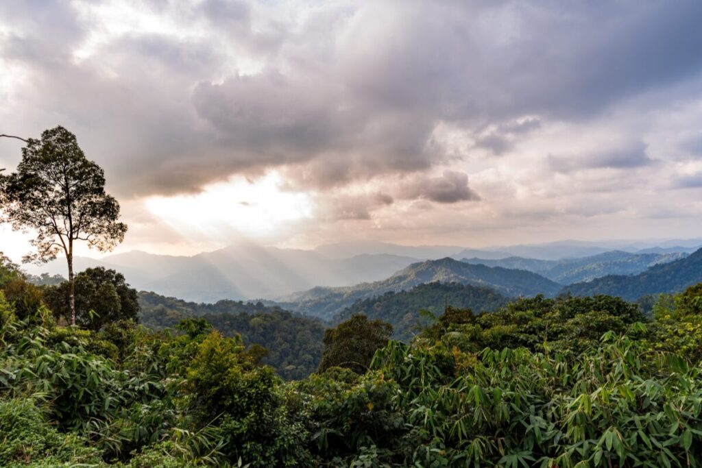 อุทยานแห่งชาติแก่งกระจาน จังหวัดเพชรบุรี